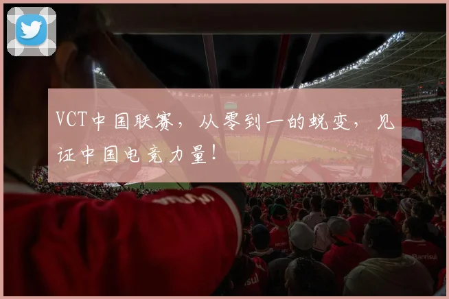 VCT中国联赛,从零到一的蜕变,见证中国电竞力量!